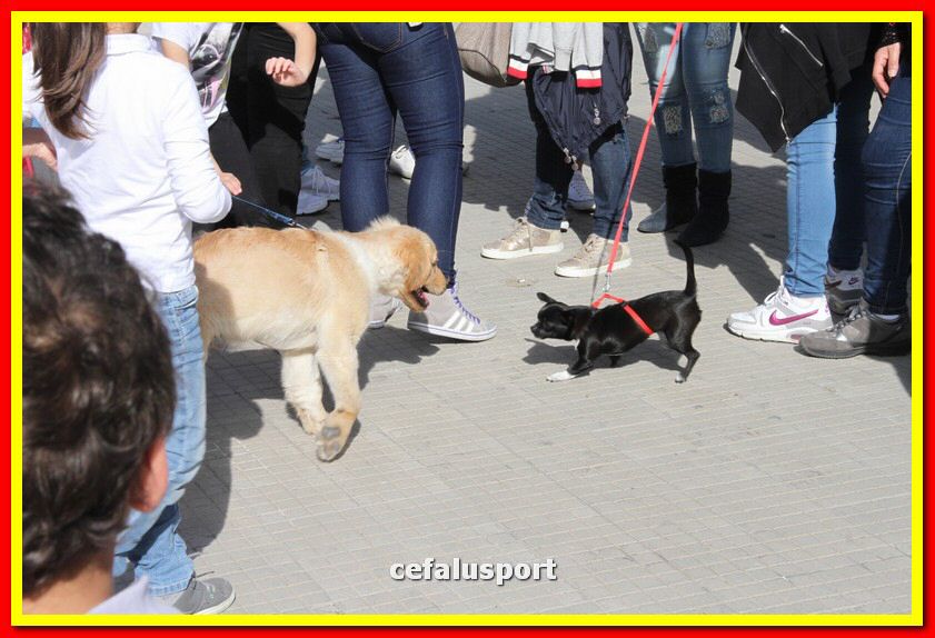 150418 foto 034_tn.jpg